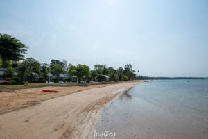เกาะหมาก