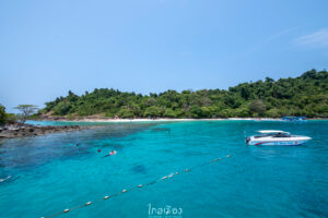 เกาะหมาก
